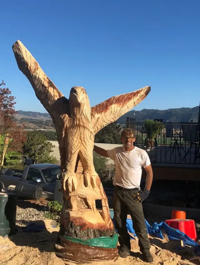 Paradise Tree Service — photo from the business 8