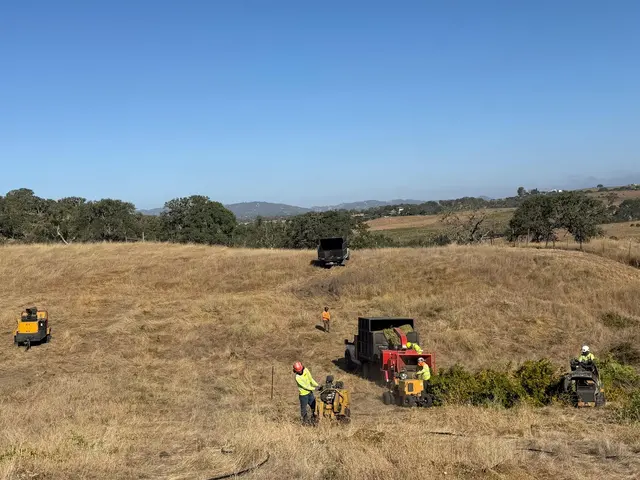 CalWest Tree Service — photo from the business 8