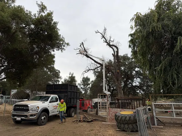 CalWest Tree Service — photo from the business 7