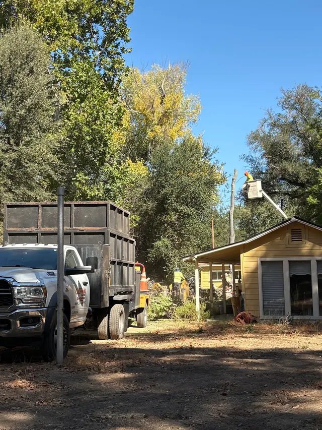 Customer photo of work by CalWest Tree Service, from Devin Gomez's review