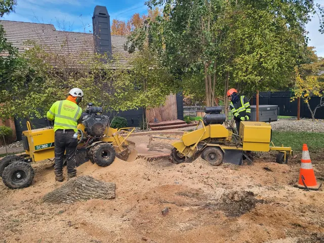 CalWest Tree Service — photo from the business 11