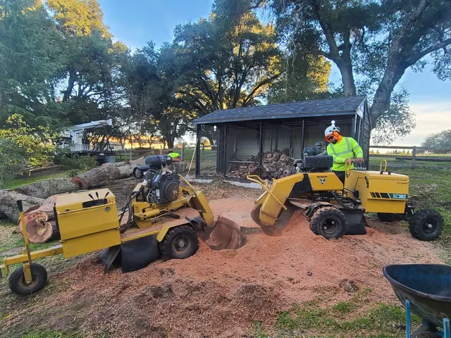 CalWest Tree Service — photo from the business 4
