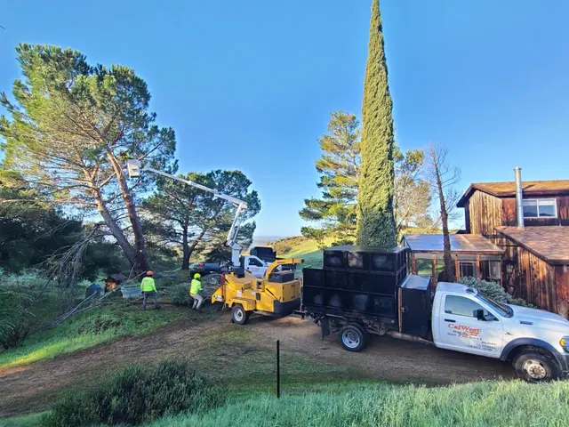 CalWest Tree Service — photo from the business 3