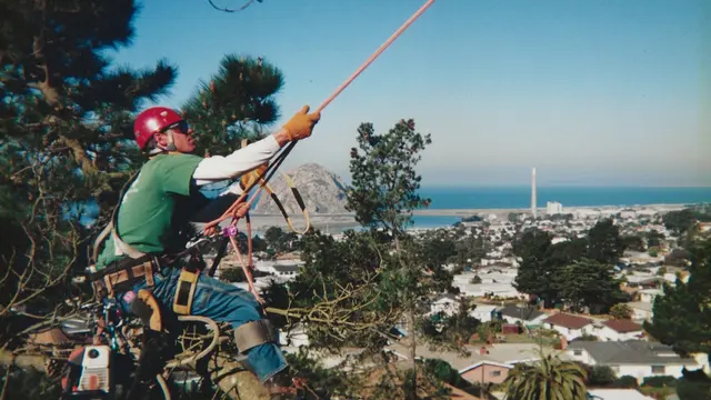 Greenvale Tree Co — photo from the business 1