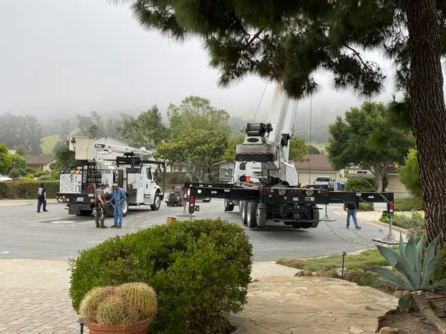 Greenvale Tree Co — customer photo 4