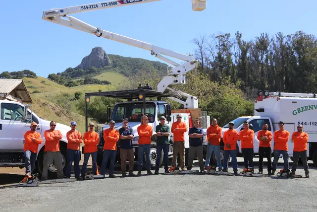 Greenvale Tree Co — photo from the business 2