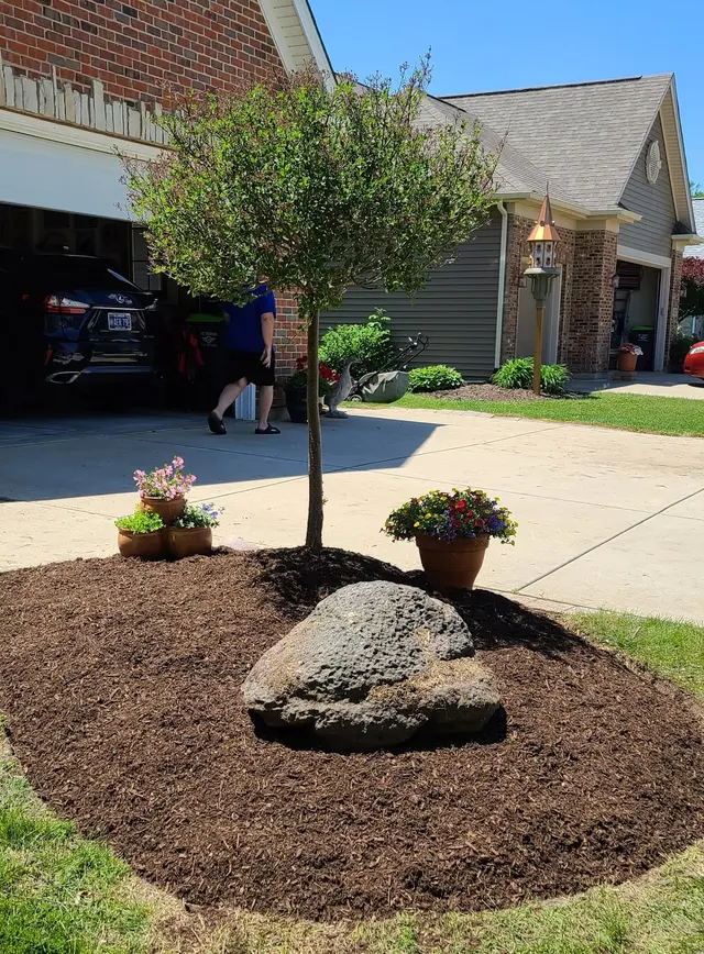 Treescape Solutions Inc — photo from the business 5