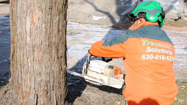 Treescape Solutions Inc — photo from the business 1