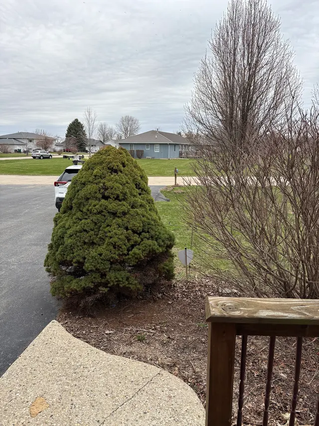 Customer photo from Susan's review