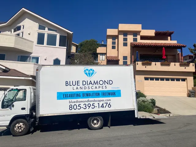 Blue Diamond Tree and Landscape — customer photo 5