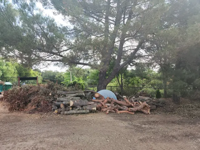 4th Generation Tree — customer photo 11