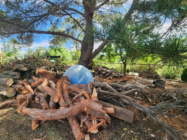 4th Generation Tree — customer photo 9