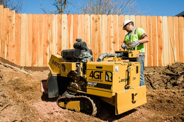 4th Generation Tree — photo from the business 5