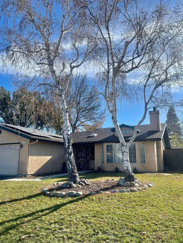 A1 Junk & Tree Solutions LLC — customer photo 3