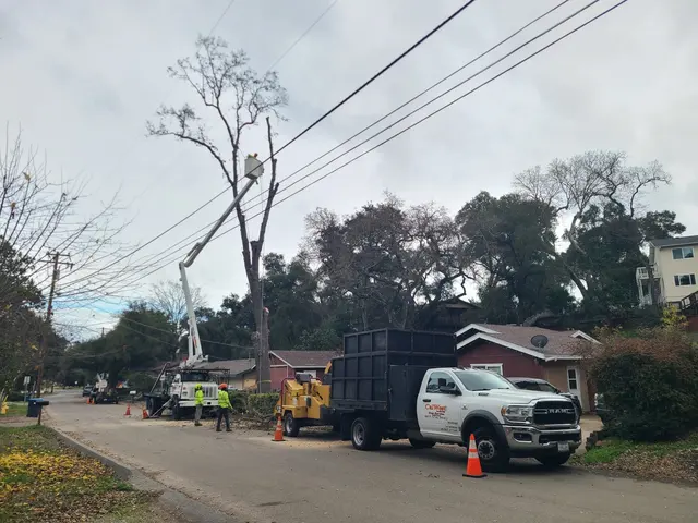 CalWest Tree Service In SLO — photo from the business 10