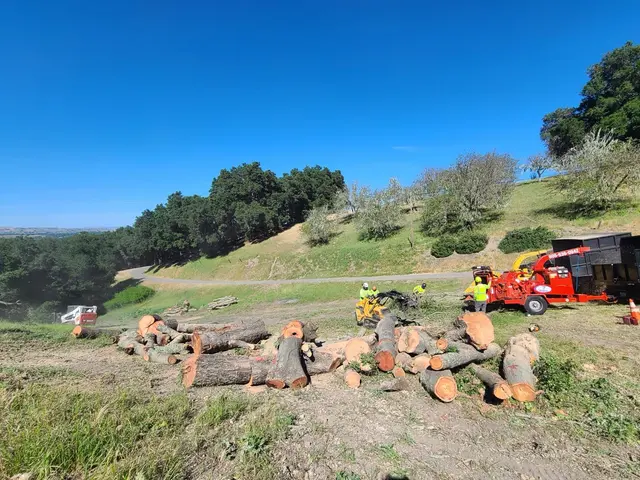 CalWest Tree Service In SLO — photo from the business 8