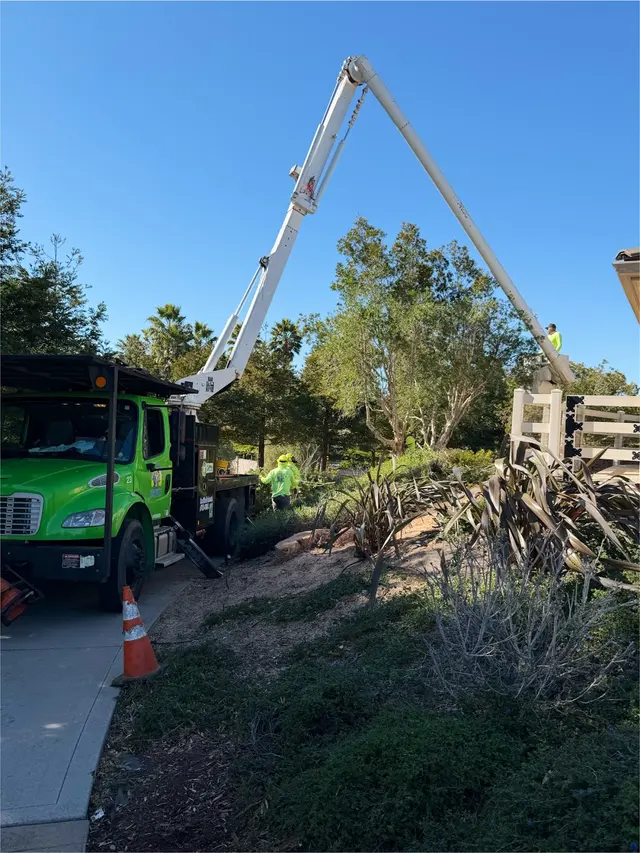 Bunyon Bros. Tree Service — customer photo 2