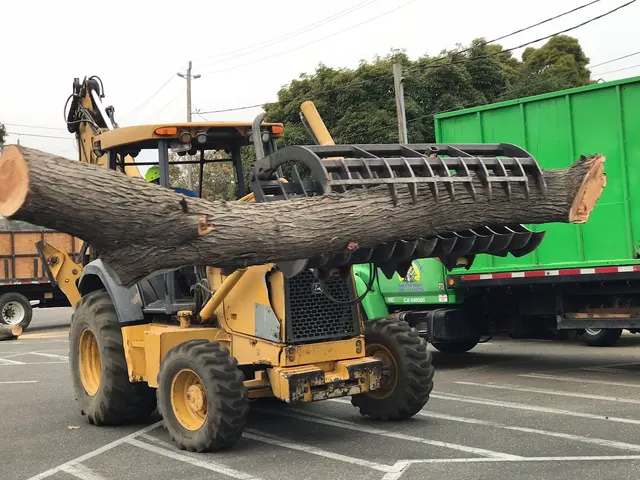 Bunyon Bros. Tree Service — photo from the business 9