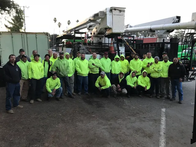 Bunyon Bros. Tree Service — photo from the business 10