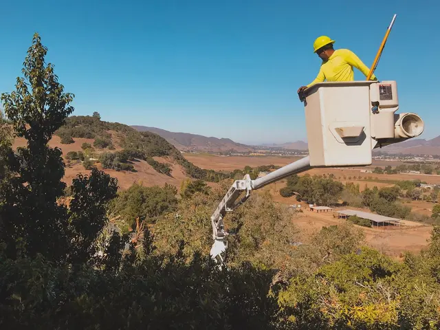 Bunyon Bros. Tree Service — photo from the business 8