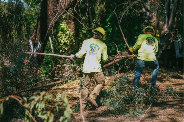Bunyon Bros. Tree Service — photo from the business 12