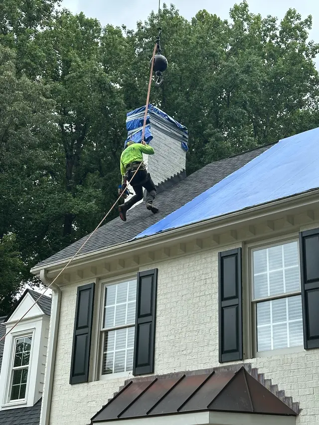 Arborex Tree Services — customer photo 5
