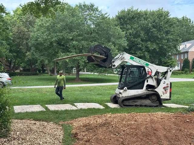 Customer photo of work by Arborex Tree Services, from Bob Fussell's review