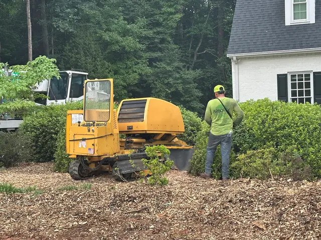 Arborex Tree Services — customer photo 11