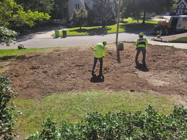Arborex Tree Services — customer photo 4
