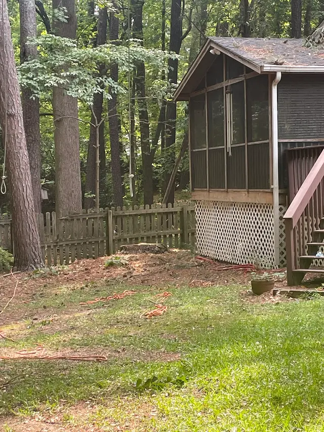 Arborex Tree Services — customer photo 8