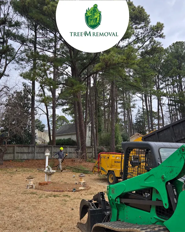 Tree M Removal, LLC — photo from the business 7