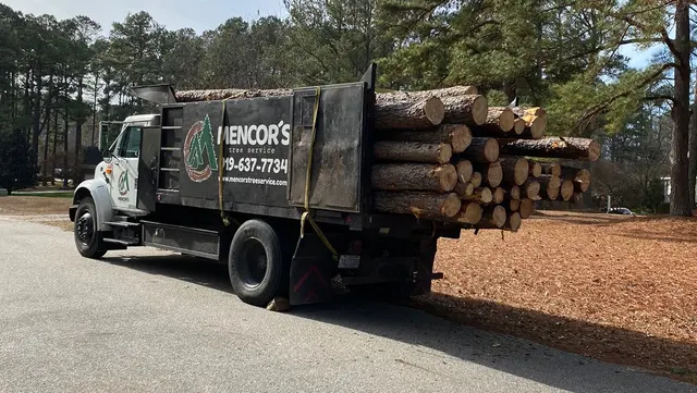 Mencor's Tree Service — photo from the business 1