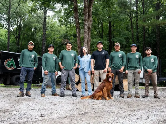 Mencor's Tree Service — photo from the business 2