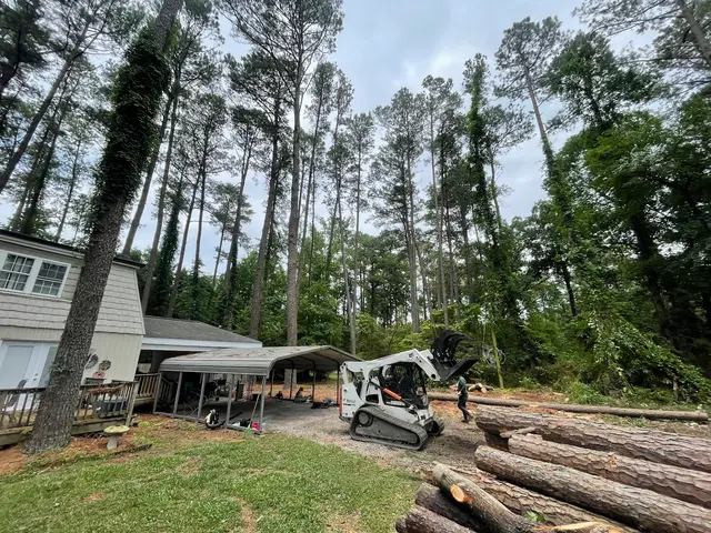 Mencor's Tree Service — photo from the business 8