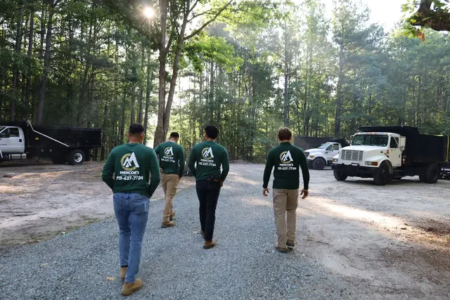 Mencor's Tree Service — photo from the business 11
