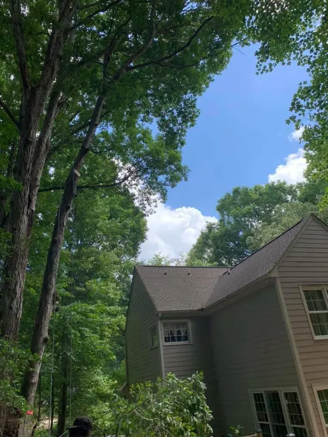 AB Tree Service — photo from the business 1