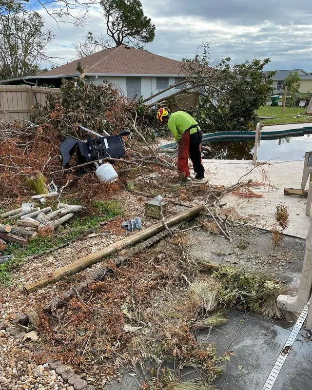 AB Tree Service — photo from the business 12