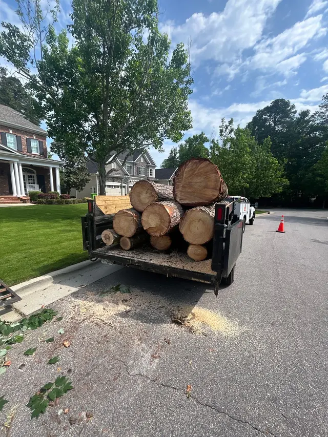 AB Tree Service — photo from the business 11