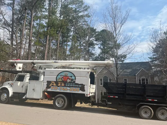 AB Tree Service — photo from the business 9