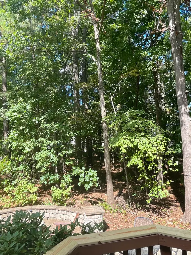 AB Tree Service — customer photo 5