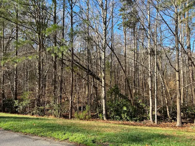 AB Tree Service — customer photo 8