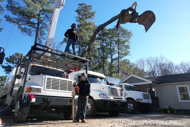 AB Tree Service — photo from the business 6