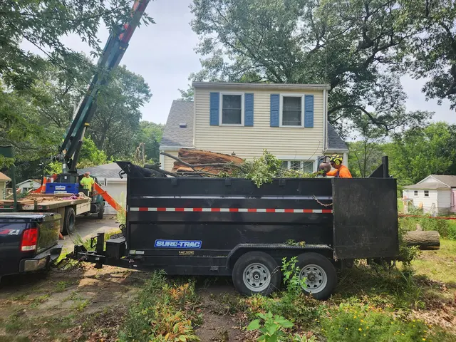 White Pine Tree Service LLC — photo from the business 3