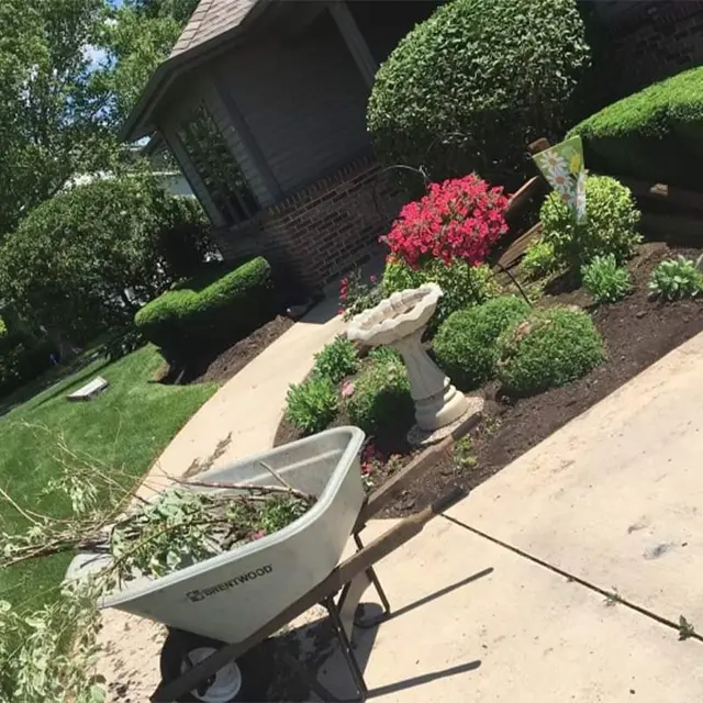 White Pine Tree Service LLC — photo from the business 11
