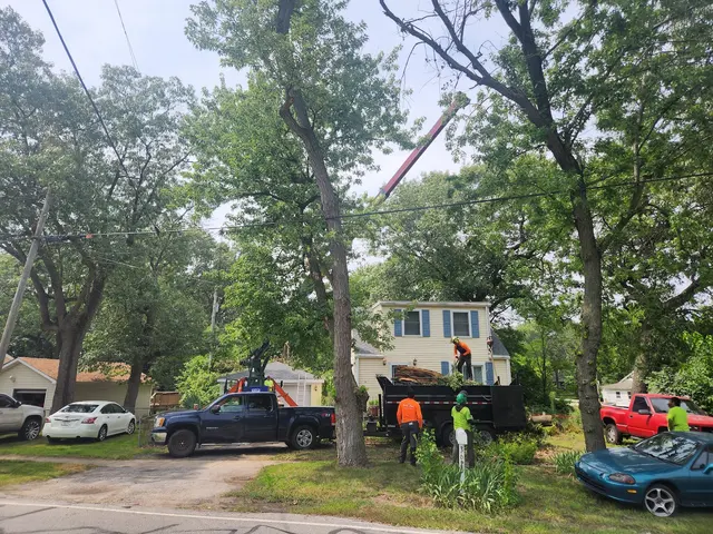 White Pine Tree Service LLC — photo from the business 10