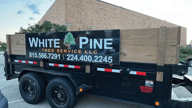 White Pine Tree Service LLC — photo from the business 1