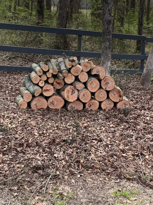 Fredin Tree Service LLC — customer photo 7