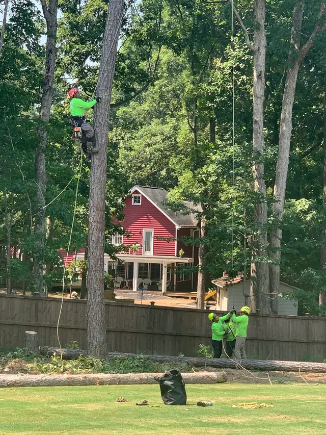 Fredin Tree Service LLC — photo from the business 3