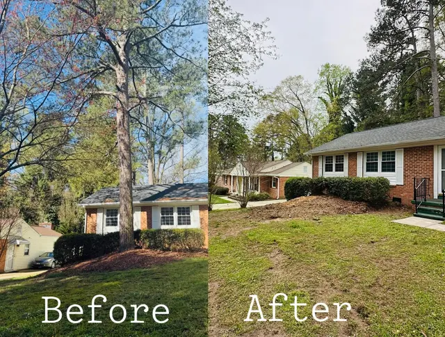Fredin Tree Service LLC — photo from the business 8