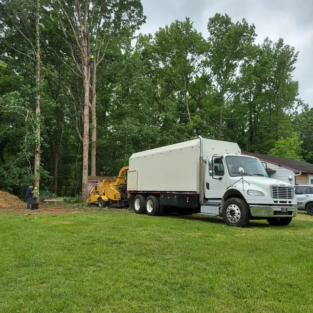Fredin Tree Service LLC — photo from the business 5